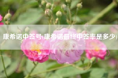 康希诺中签号(康希诺最终中签率是多少)