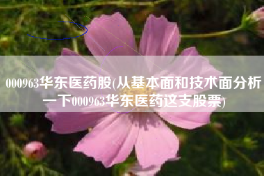 000963华东医药股(从基本面和技术面分析一下000963华东医药这支股票)