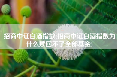 招商中证白酒指数(招商中证白酒指数为什么赎回不了全部基金)