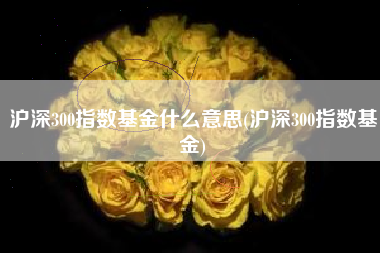 沪深300指数基金什么意思(沪深300指数基金)