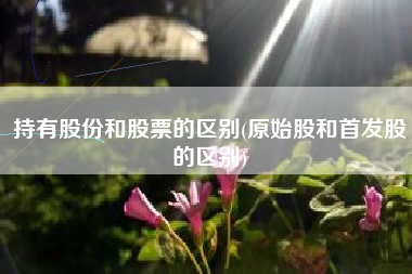 持有股份和股票的区别(原始股和首发股的区别)