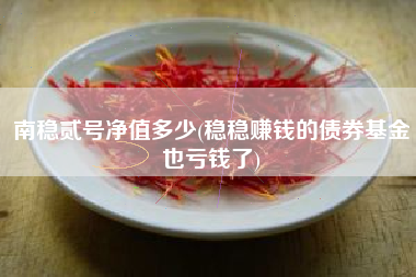 南稳贰号净值多少(稳稳赚钱的债券基金也亏钱了)