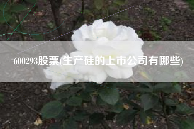 600293股票(生产硅的上市公司有哪些)