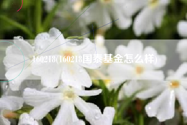 160218(160218国泰基金怎么样)