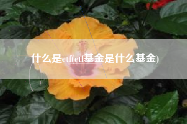 什么是etf(etf基金是什么基金)