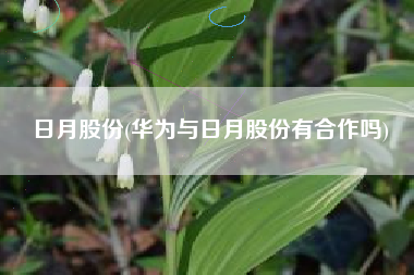 日月股份(华为与日月股份有合作吗)