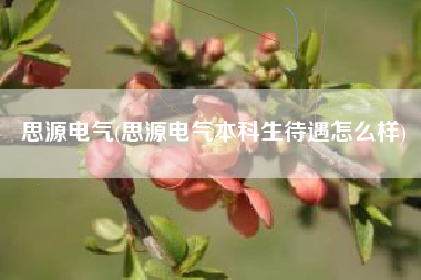 思源电气(思源电气本科生待遇怎么样)