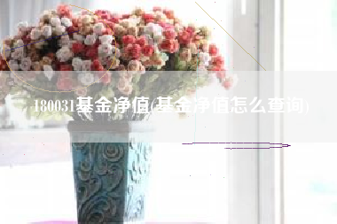180031基金净值(基金净值怎么查询)
