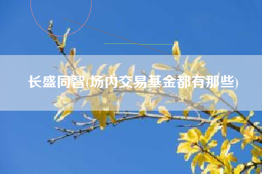 长盛同智(场内交易基金都有那些)