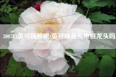 300713英可瑞股吧(英可瑞是充电桩龙头吗)