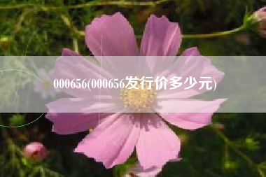 000656(000656发行价多少元)