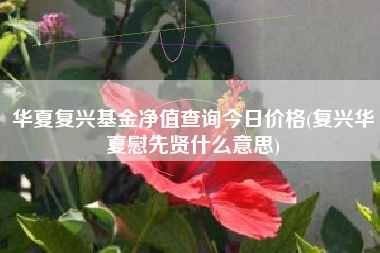 华夏复兴基金净值查询今日价格(复兴华夏慰先贤什么意思)