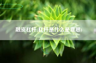 融资杠杆(杠杆是什么是意思)