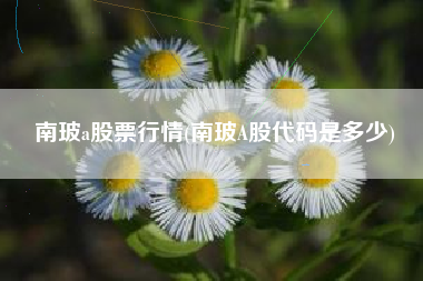 南玻a股票行情(南玻A股代码是多少)
