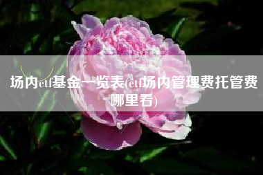 场内etf基金一览表(etf场内管理费托管费哪里看)