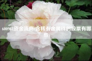 600961资金流向(含稀有金属锌的股票有哪些)