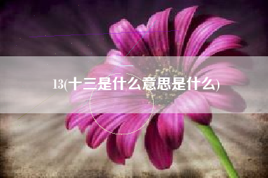 13(十三是什么意思是什么)