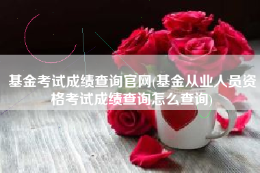 基金考试成绩查询官网(基金从业人员资格考试成绩查询怎么查询)