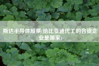 斯达半导体股票(给比亚迪代工的合资企业是哪家)