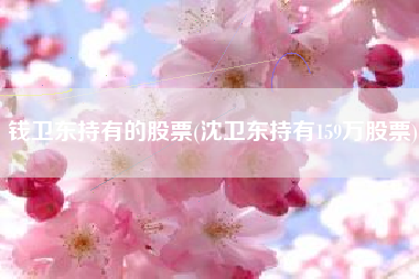 钱卫东持有的股票(沈卫东持有159万股票)