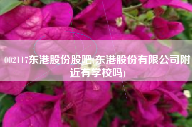 002117东港股份股吧(东港股份有限公司附近有学校吗)