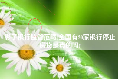 影子银行监管范畴(全国有20家银行停止房贷是真的吗)