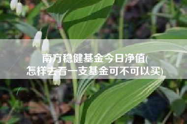 南方稳健基金今日净值(
怎样去看一支基金可不可以买)