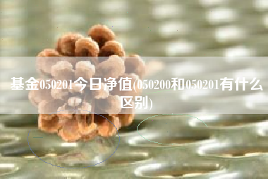 基金050201今日净值(050200和050201有什么区别)