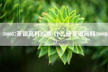 300087荃银高科股票(什么是荃银高科300087)