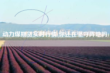 动力煤期货实时行情(你还在坚守阵地吗)