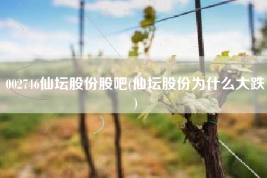 002746仙坛股份股吧(仙坛股份为什么大跌)