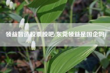 领益智造股票股吧(东莞领益是国企吗)