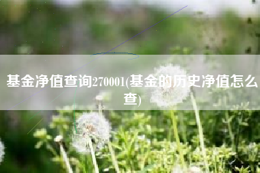 基金净值查询270001(基金的历史净值怎么查)