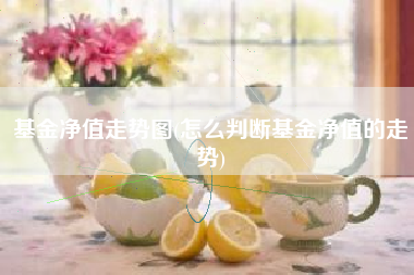 基金净值走势图(怎么判断基金净值的走势)