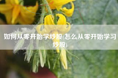 如何从零开始学炒股(怎么从零开始学习炒股)