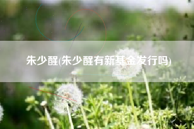 朱少醒(朱少醒有新基金发行吗)