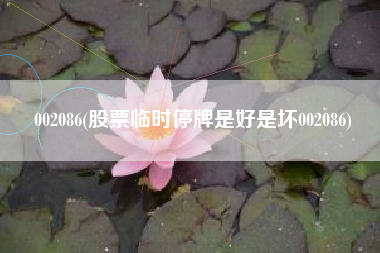 002086(股票临时停牌是好是坏002086)