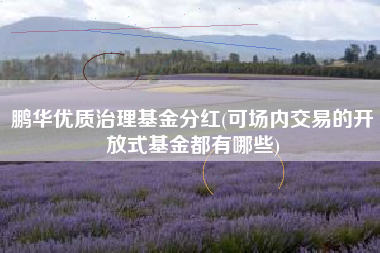 鹏华优质治理基金分红(可场内交易的开放式基金都有哪些)