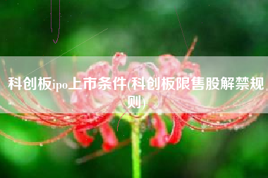 科创板ipo上市条件(科创板限售股解禁规则)