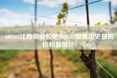 600362江西铜业股吧(600362股票历史最高价和最低价)