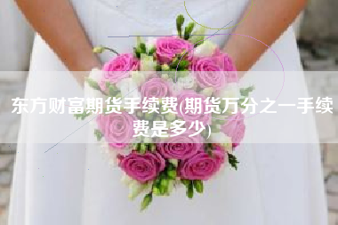 东方财富期货手续费(期货万分之一手续费是多少)
