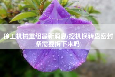 徐工机械重组最新消息(挖机换转盘密封条需要拆下来吗)