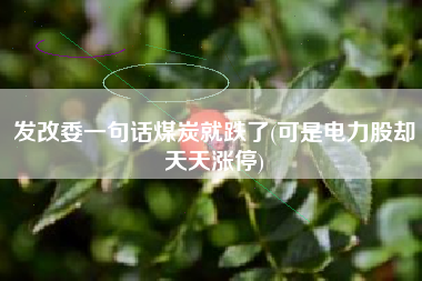 发改委一句话煤炭就跌了(可是电力股却天天涨停)