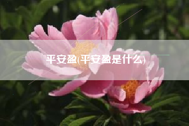 平安盈(平安盈是什么)