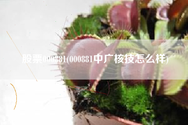 股票000881(000881中广核技怎么样)
