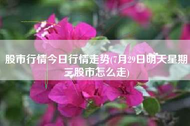 股市行情今日行情走势(7月29日明天星期三股市怎么走)