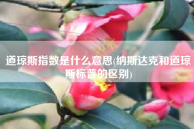 道琼斯指数是什么意思(纳斯达克和道琼斯标普的区别)