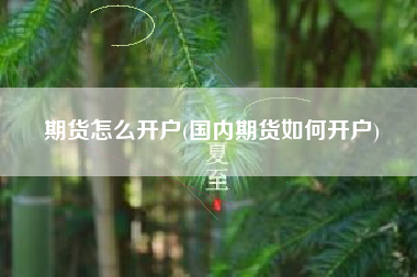 期货怎么开户(国内期货如何开户)