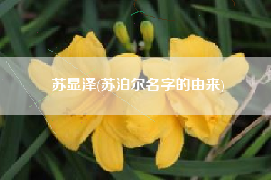 苏显泽(苏泊尔名字的由来)