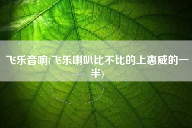 飞乐音响(飞乐喇叭比不比的上惠威的一半)